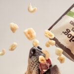 Featured image for 15 Premium Dog Food Brand Names You Can Trust in 2025