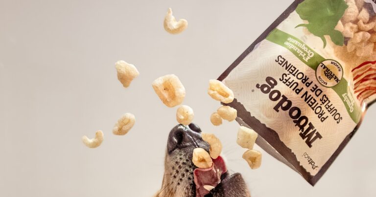 Featured image for 15 Premium Dog Food Brand Names You Can Trust in 2025