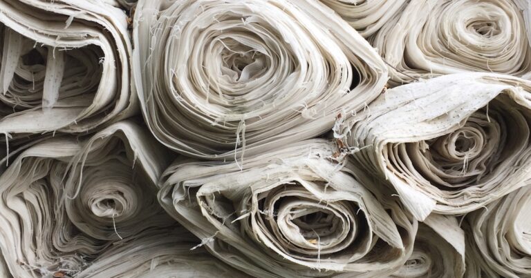 Featured image for 25 Sustainable Popular Brands You Need to Know in 2025