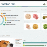 Featured image for Which Dog Food Brands Offer Customized Nutrition Plans Top 10 in 2025