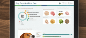 Featured image for Which Dog Food Brands Offer Customized Nutrition Plans Top 10 in 2025